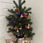 Seeapartment Southbeach Mit Terrasse Und Seezugang דירה