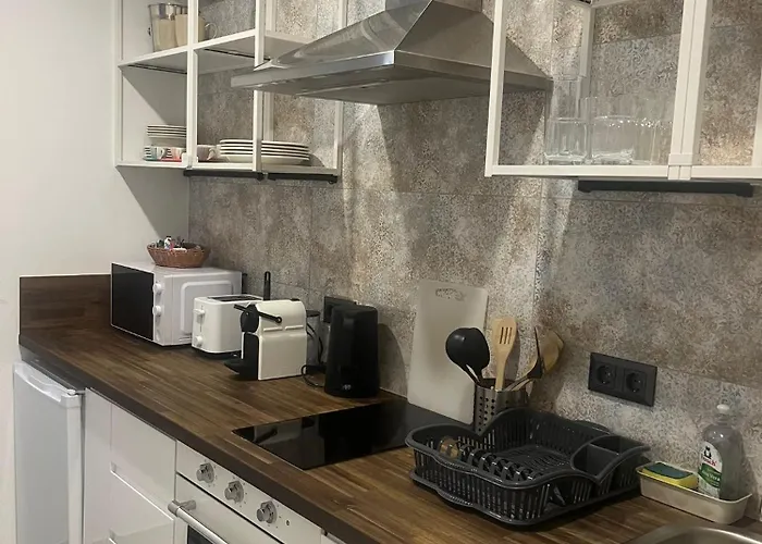 Seeapartment Southbeach Mit Terrasse Und Seezugang Sekirn